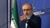 ناصر کنعانی، سخنگوی وزارت خارجه ایران
