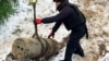 У низці областей оголосили повітряну тривогу: ЗСУ кажуть про ракету на Кременчук (відбій)
