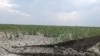 Рік без Каховського водосховища: як виживає український південь