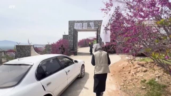 پروان کې "ارغوان ګل" مشاعره کې يوازې نارينه شاعرانو ګډون وکړ