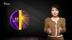 Зомбулуксуз жашоого үмүт: 16 күндүк акция