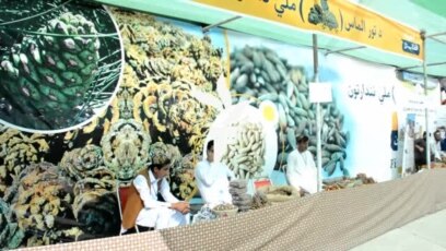 په خوست کې د کورنیو تولیداتو ۳ ورځنی نندارتون روان دی