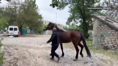 Preživjeti dan po dan pod bombama