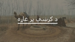 اقلیمي بدلون د پښتونخوا کروندګر له ستونزو سره مخامخ کړي دي