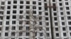 Засохшее дерево рядом со строящимся жилым домом. Алматы, 24 июля 2022 года.