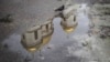 Травень у Києві був прохолодним та дощовим