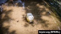 Брудне місце. Як прибережжя Салгира перетворюється на звалище (фотогалерея)
