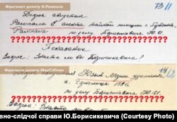 Фрагменти допитів свідків у справі Юліана Борисикевича