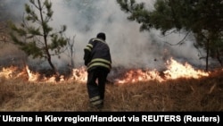 Рятувальники кажуть, що кількість лісових пожеж у першому півріччі в порівнянні з аналогічним періодом минулого року зросла втричі