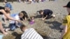 "Дети хотят домой". Больница вместо лагеря на море