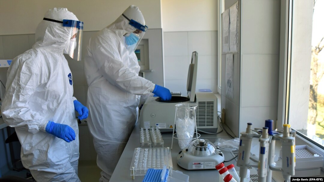 Laboratorisjka obrada uzoraka testiranih na korona virus 