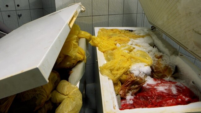 Rotting Placentas Overflow From Freezers At Kosovo's Biggest Hospital