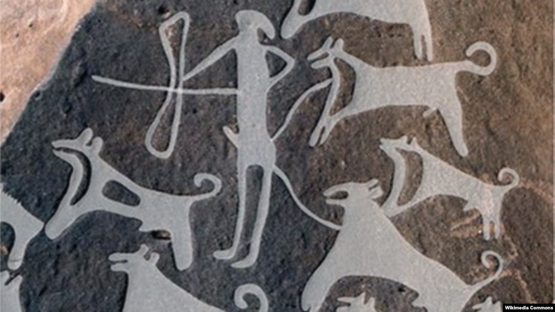 One of the earliest known cave depictions of dogs is in northwestern Saudi Arabia. It shows humans hunting with leashed canine helpers more than 9,000 years ago.