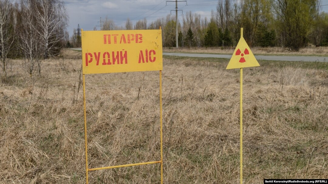 Рудий ліс в Чорнобильській зоні, 22 квітня 2015 року