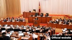 Заседание парламента, 2011