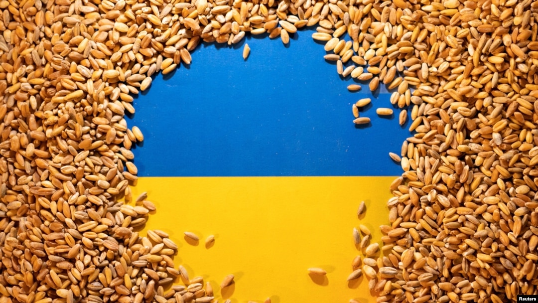 Controversele privind importul de cereale din Ucraina riscă să submineze ideea de solidaritate .