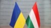 Угорщина відмовилася від заяви НАТО через відсутність згадки про нібито «позбавлення прав» угорської меншини в Україні