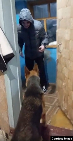 Вернувшегося Антона встречает его собака