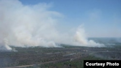 Лясныя пажары ў Гомельскай вобласбці. Архіўнае фота