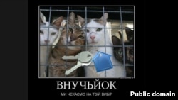 (фото з мережі Facebook)