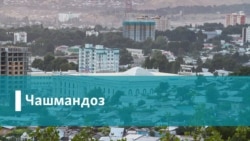Қатли 5 узви як хонавода дар Суғд