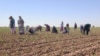 Источник: Turkmen Initiative for Human Rights