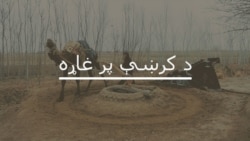په چاپیریال کې د بدلونونو مخنیوې څنکه کېدای شي؟