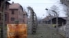 Загальний вигляд колишнього нацистського концтабору «Аушвіц-Біркенау» біля міста Освенцім, 19 січня 2015 року