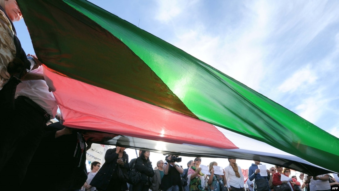 Demonstranti sa palestinskom zastavom, ilustrativna fotografija
